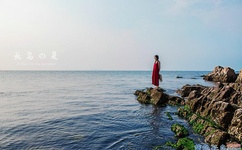 五星大饭店小说